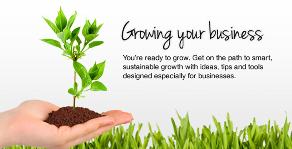how to grow your business