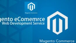 Magento Commerce Launches New Tool