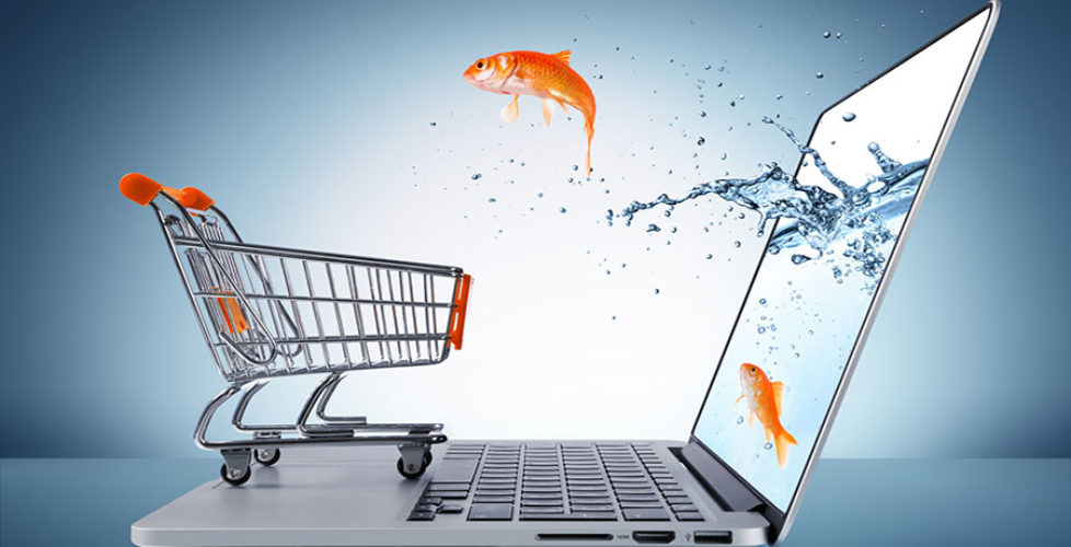 e-commerce images