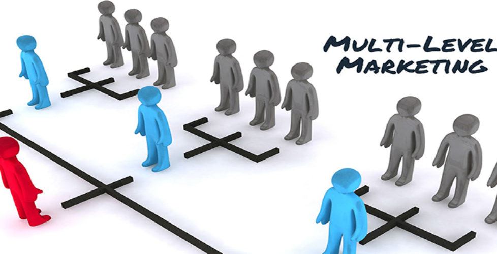 MLM companyMLM company