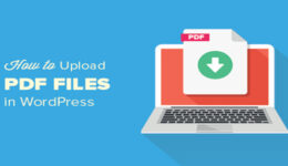 PDF files
