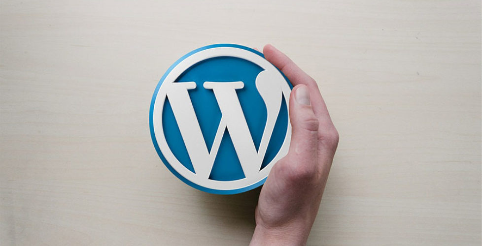 Check Out These 5 Best WordPress Courses for Beginners