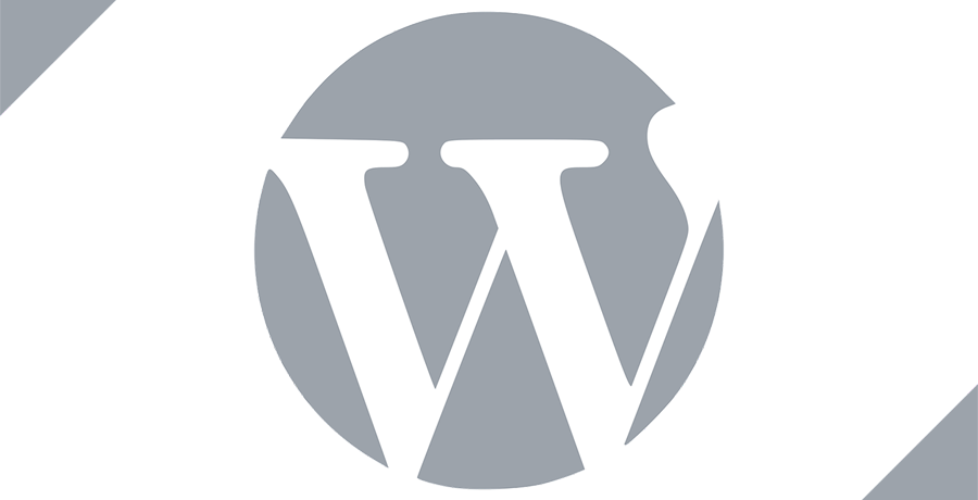 Important Things You Need to Do After Installing WordPress