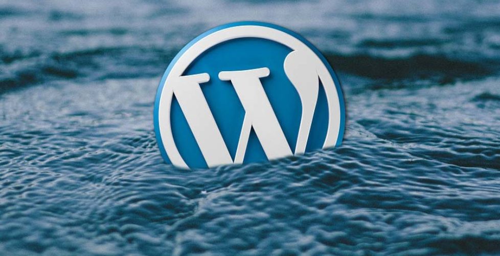What to Do If Your WordPress Website Is Down