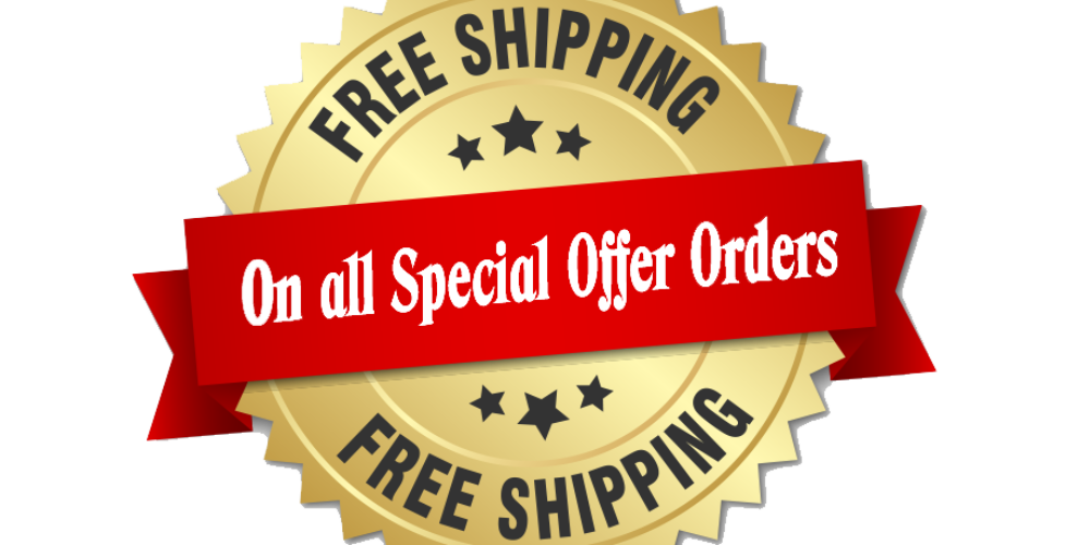 Dropshipping as a business model