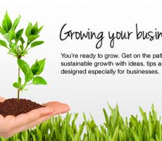 how to grow your business
